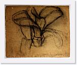 04 * 512 x 422 * (388KB)