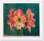 05 * 512 x 479 * (410KB)