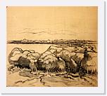 12 * 512 x 453 * (411KB)